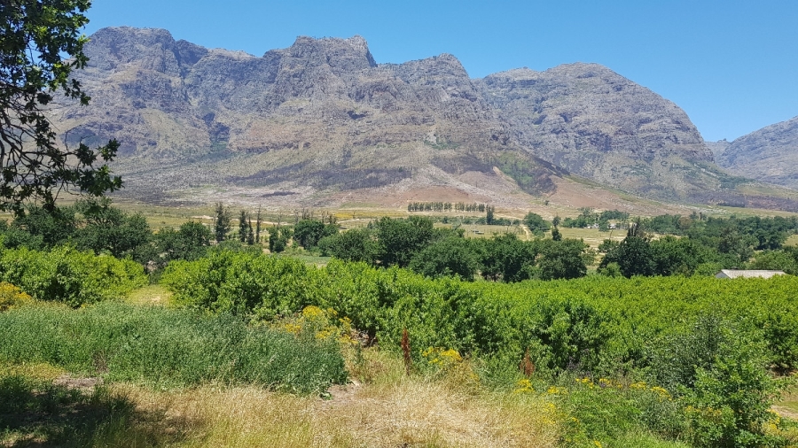 Commercial Property for Sale in Stellenbosch Farms Western Cape